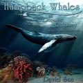 Relaxing Music: 'Humpback Whales (An Oceanic Odyssey)' - Album Cover Image