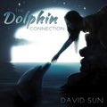 Relaxing Music: 'The Dolphin Connection' - Album Cover Image