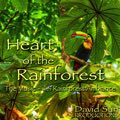 Relaxing Music: 'Heart of the Rainforest' - Album Cover Image