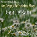 Relaxing Nature Sounds for Sleep: 'Gentle Rain' - Album Cover Image