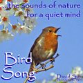 Sounds for Relaxation - Bird Song Image