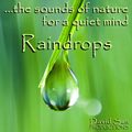 Sounds for Relaxation - Raindrops Image